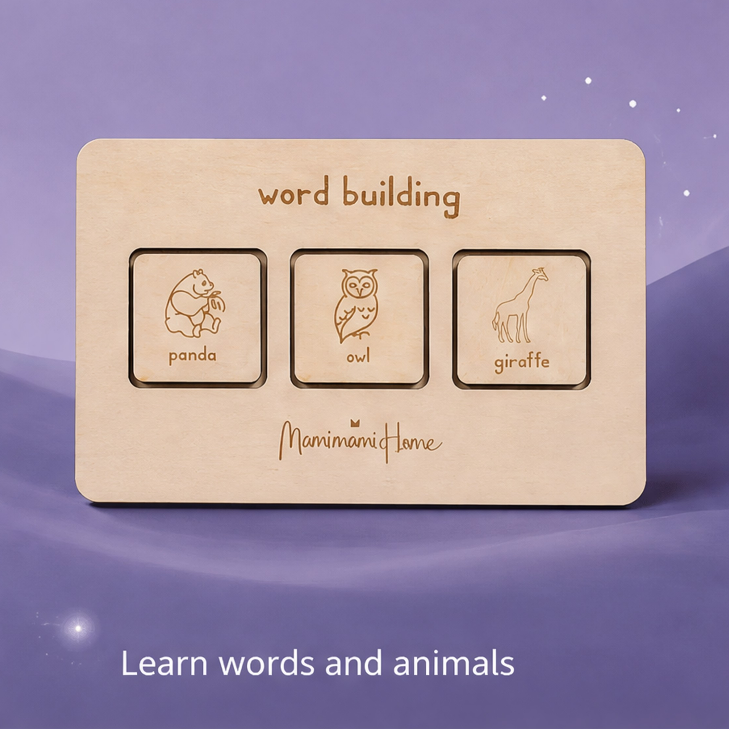 Montessori English Word Board