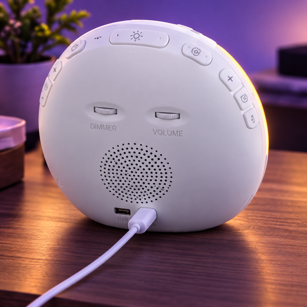 Rivenzo® Sunrise Wake & Sleep Alarm Clock